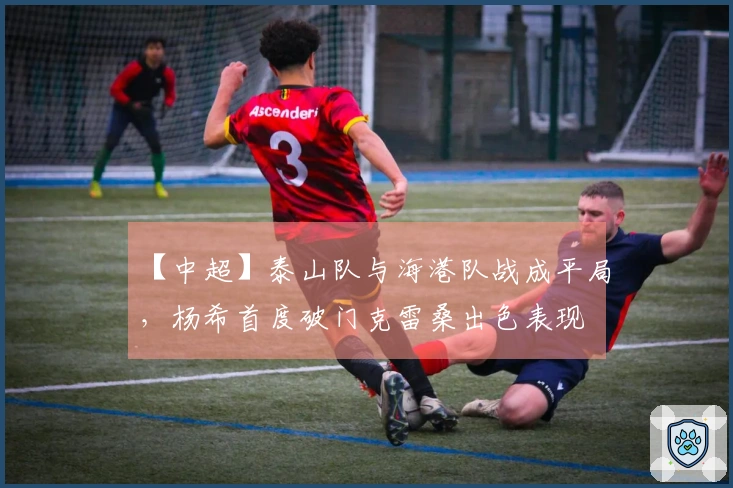 【中超】泰山队与海港队战成平局，杨希首度破门克雷桑出色表现